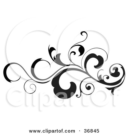 Clipart Illustration of a Black Silhouetted Leafy Scroll Design Element With  Tendrils by OnFocusMedia