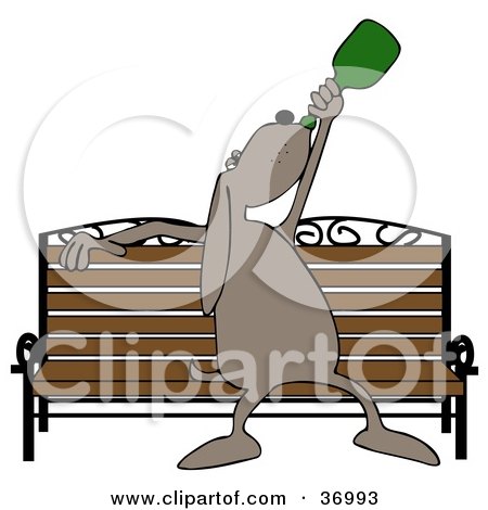 Clipart Illustration of a Drunk Dog Chugging Liquor On A Park Bench by djart