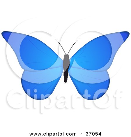 Clipart Illustration of a Beautiful Blue Butterfly With A Black Body by elaineitalia