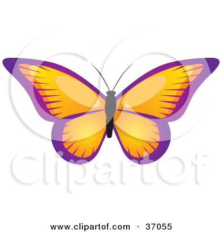Clipart Illustration of a Beautiful Butterfly With Orange Wings Trimmed In Purple by elaineitalia