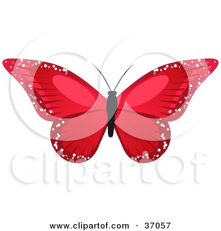 Clipart Illustration of a Stunning Red Butterfly With Sparkling Wings by elaineitalia