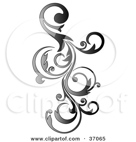 Clipart Illustration of a Gradient Vertical Curly Vine Scroll Design by OnFocusMedia