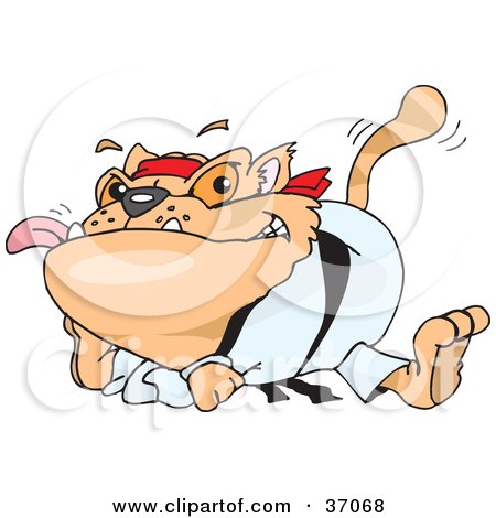 Clipart Illustration of a Karate Cat Resting After A Fight by Dennis Holmes Designs