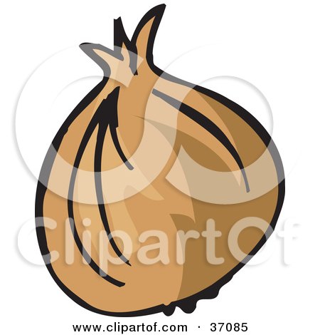 Clipart Illustration of a Fresh And Organic Yellow Onion With The Outer Layers Attached by Dennis Holmes Designs