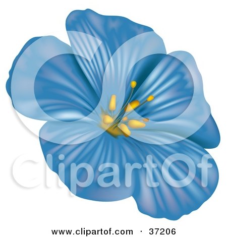 Clipart Illustration of a Blue Anemone Flower by dero