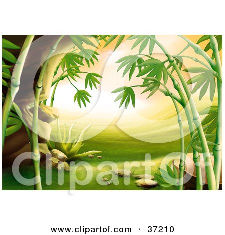 Clipart Illustration of an Asian Landscape With Green Grass, Rocks And Bamboo by dero