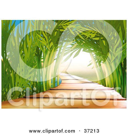 Clipart Illustration of a Wooden Path Leading Through An Arch Of Bamboo Stalks In An Asian Garden by dero