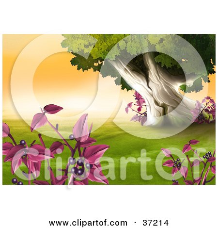 Clipart Illustration of Plants With Purple Berries Framing A Scene Of Green Pastures With A Large Old Tree Against A Sunrise Sky by dero