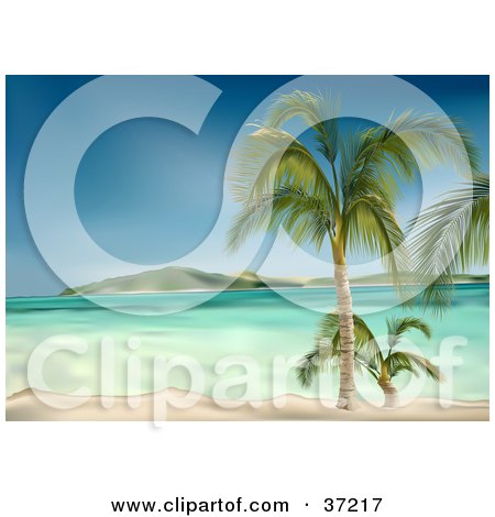 Clipart Illustration of Clear Blue Waters Washing Up On A White Sandy Beach With Palm Trees, An Island In The Distance by dero