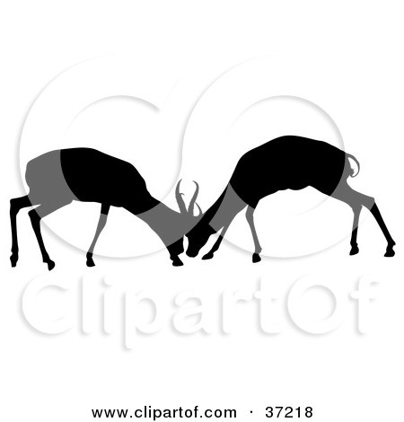 Clipart Illustration of a Black Silhouette Of Two Young Antelope In Battle by dero