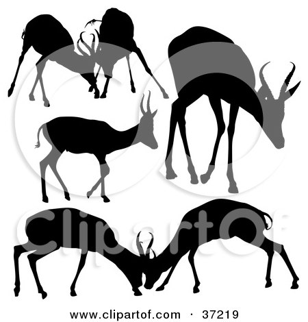 Clipart Illustration of Scenes Of Antelope Deer Silhouetted In Black by dero