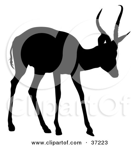 Clipart Illustration of a Black Silhouette Of A Young Antelope by dero