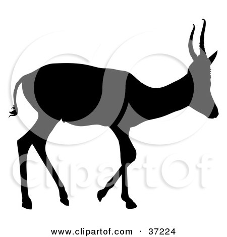 Clipart Illustration of a Black Silhouette Of A Young Profiled Antelope With Short Antlers by dero
