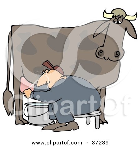 Clipart Illustration of a Man Sitting On A Bench And Getting Squirt In The Face While Milking A Cow by djart