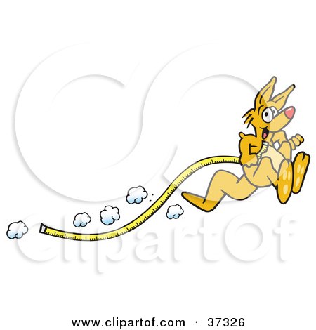 Clipart Illustration of a Fast Kangaroo Hopping Past And Dragging A Tape Measure Along by Johnny Sajem