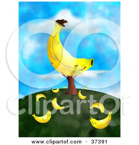 Clipart Illustration of a Giant Banana On A Tree With Fallen Fruit On The Ground, On Top Of A Hill Against A Sky by Prawny