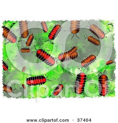 Clipart Illustration of a Background Of Pillbugs On Green by Prawny