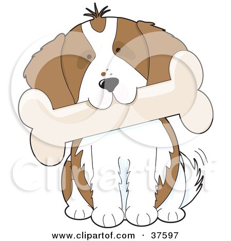 Clipart Illustration of a Cute Cavalier King Charles Spaniel Puppy Dog Tilting His Head And Biting A Bone by Maria Bell