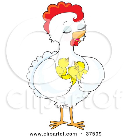 Clipart Illustration of a Pretty White Hen Holding Her Chicks In Her Wings by Maria Bell