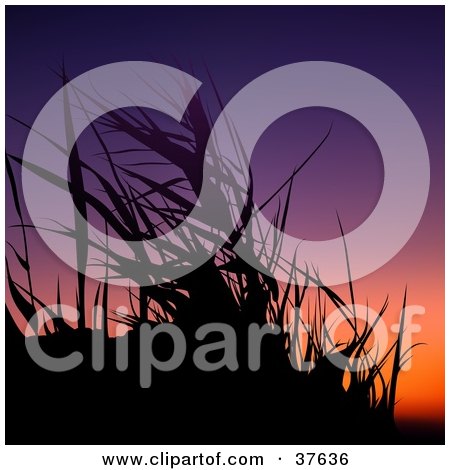 Clipart Illustration of Black Silhouetted Grasses Against A Colorful Sunset by dero