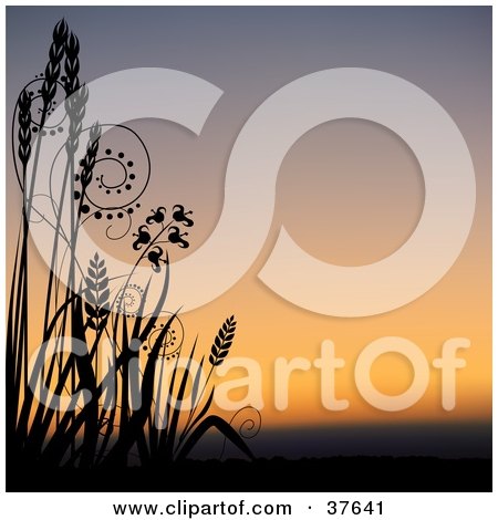 Clipart Illustration of Tall Grasses Silhouetted In Black Against An Orange Sunset by dero