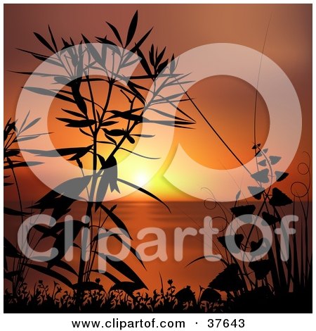 Clipart Illustration of Coastal Plants Silhouetted In Black Against An Orange Sunset by dero
