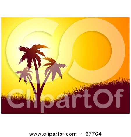 Clipart Illustration of a Beautiful Orange Sunset Silhouetting A Grassy Hill With Palm Trees by KJ Pargeter