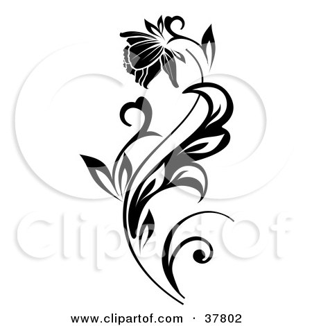 Clipart Illustration of a Beautiful Bloom On A Black Plant by OnFocusMedia