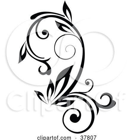 Clipart Illustration of a Black Outline Plant With Curling Stalks by OnFocusMedia