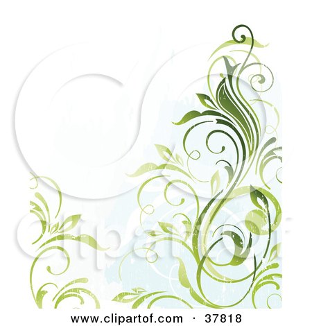 Clipart Illustration of a Green Vine On A White Background With Faint Green Grunge by OnFocusMedia