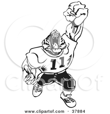 Clipart Illustration of a Black And White Tiger Football Player Roaring by David Rey