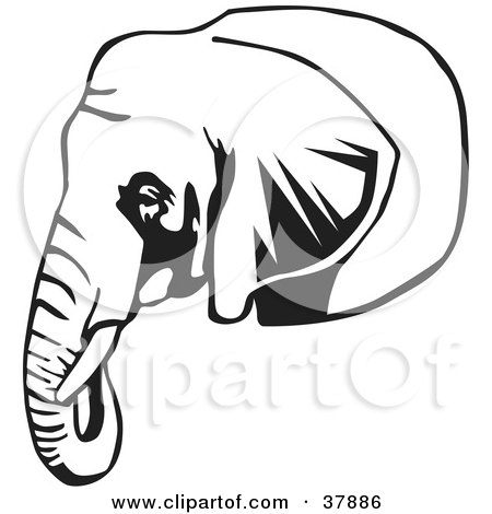 Clipart Illustration of a Black And White Outline Of A Tusked Elephant Head by David Rey