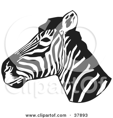 Clipart Illustration of a Black And White Zebra Head In Profile by David Rey