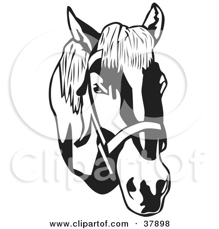 Clipart Illustration of a Black And White Bridled Horse Head by David Rey