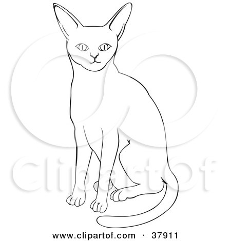 Clipart Illustration of a Black And White Outline Of An Abyssinian Cat by David Rey