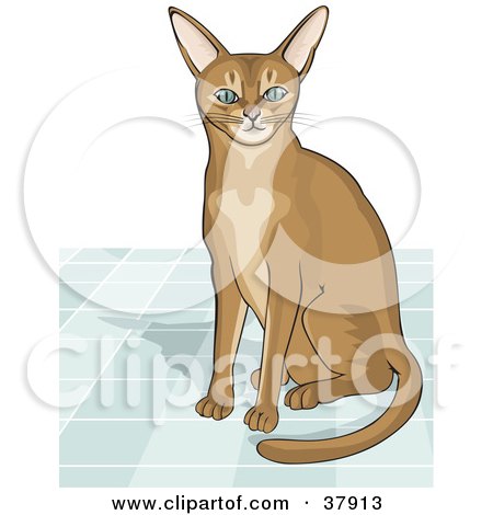 Clipart Illustration of a Curious Abyssinian Cat Seated On A Tile Floor by David Rey