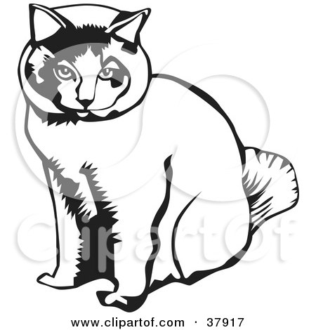 Clipart Illustration of a Black And White Outline Of A Sitting Cat by David Rey