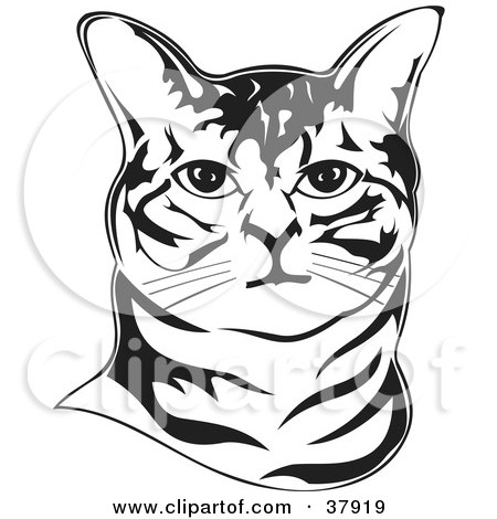 Clipart Illustration of a Black And White Outline Of An American Bobtail Cat's Face by David Rey