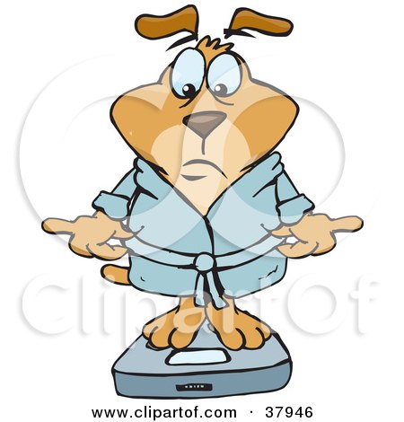 Clipart Illustration of a Disappointed Brown Dog In A Rob, Standing On A Scale And Reading The Results by Dennis Holmes Designs