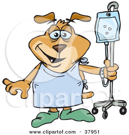 Clipart Illustration of a Hospital Patient Dog In A Robe And Slippers, Walking With Fluids by Dennis Holmes Designs