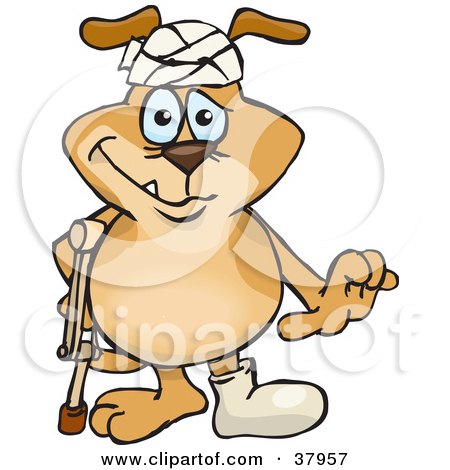 Clipart Illustration of a Beat Up Brown Dog Wearing A Cast And Head Bandage, Walking With A Crutch by Dennis Holmes Designs