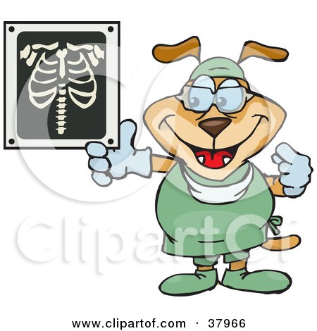 Clipart Illustration of a Dog Radiologist In Scrubs, Holding Up An Xray Of Ribs by Dennis Holmes Designs