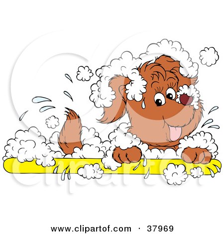 Clipart Illustration of a Happy Dog In A White Sudsy Bath by Alex Bannykh