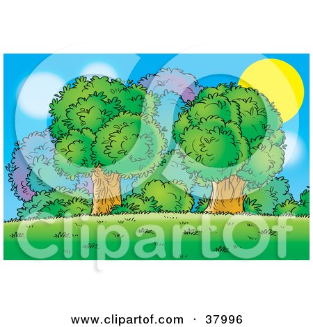 Clipart Illustration of The Sun Behind A Cluster Of Mature Trees And Bushes by Alex Bannykh