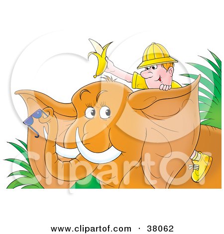 Clipart Illustration of a Happy Male Traveler Holding Up A Banana And Riding Through The Jungle On An Elephant by Alex Bannykh