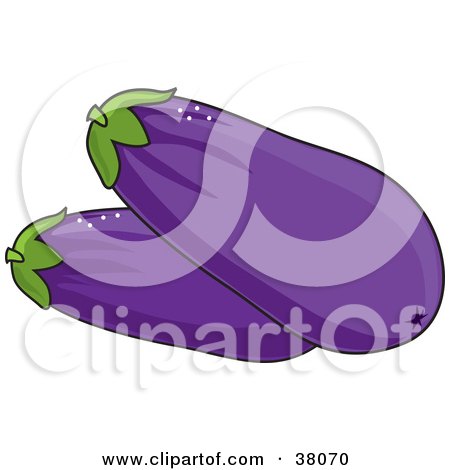 Clipart Illustration of Two Fresh And Organic Purple Eggplants by Maria Bell
