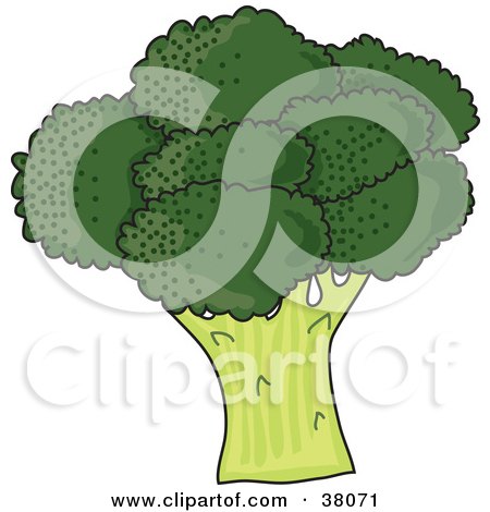 Clipart Illustration of a Head Of Organic Green Broccoli by Maria Bell