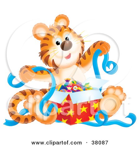 Clipart Illustration of a Birthday Tiger Unwrapping A Present With Blue Ribbons by Alex Bannykh