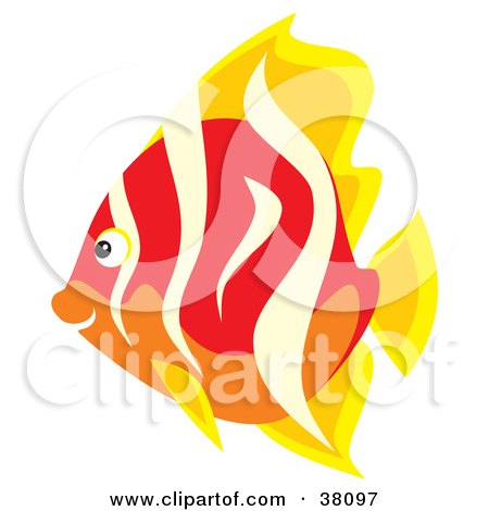 Clipart Illustration of a Yellow, Beige, Red And Orange Fish by Alex Bannykh