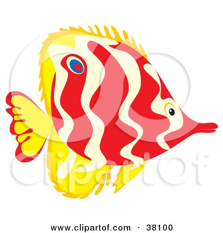 Clipart Illustration of a Wavy Patterned Red And Yellow Fish by Alex Bannykh
